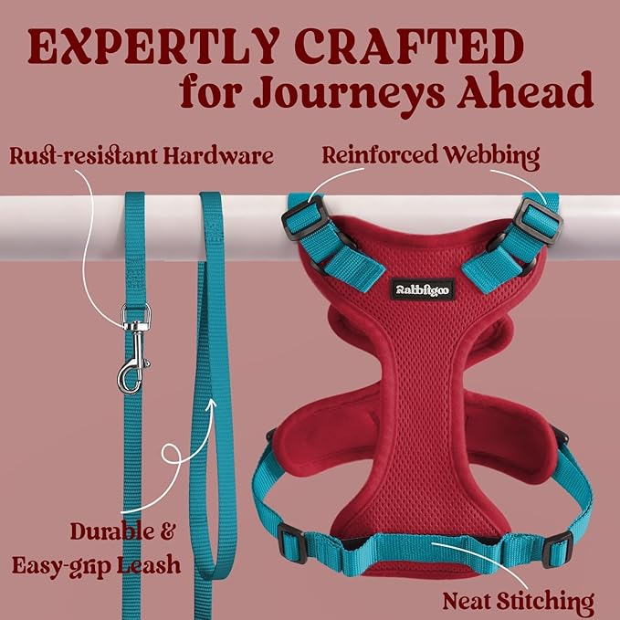 rabbitgoo Cat Harness and Leash for Walking, Escape Proof Soft Adjustable Vest Harnesses for Cats, Easy Control Breathable Reflective Strips Jacket, Red & Teal, XXS