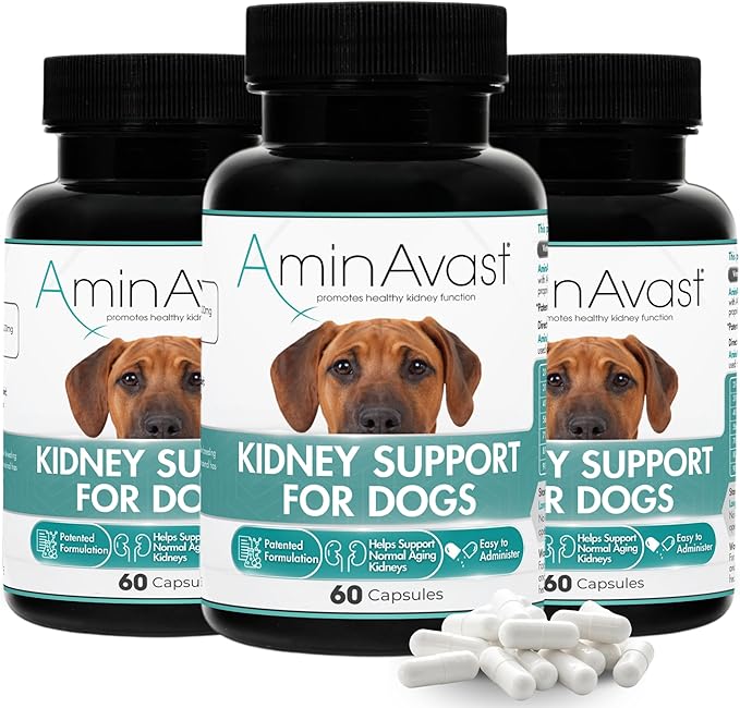 AminAvast Kidney Support Supplement for Dogs, 1000mg 3-Pack - Promotes Natural Kidney Function - Aids in Health and Vitality of Aging Kidneys - Easily Administered - 60 Sprinkle Capsules