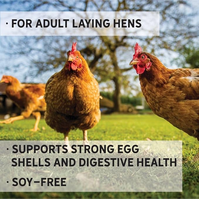 New Country Organics I Power Pellet Layer Feed 40 lbs I Layer Feed for Laying Hens I Soy-Free I 17% Protein I Certified Organic and Non-GMO I 40 lbs