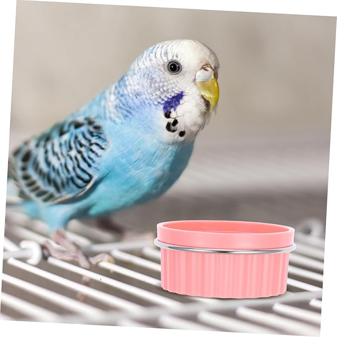Stainless Steel Parrot Food Bowl Parrot Feeding Bowls for Cage Bird Feeders Bird Feeding Watering Supplies