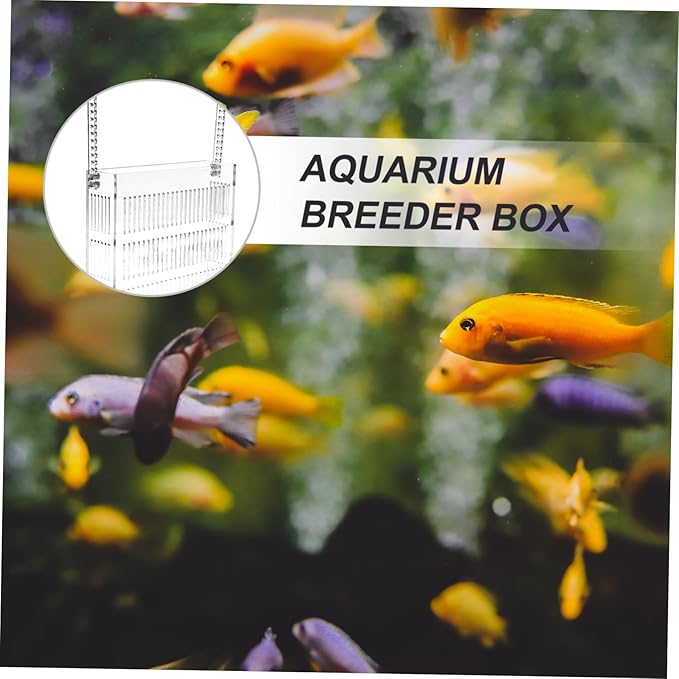 Sturdy Fish Breeding Box Aquarium Betta Tank Separator Acrylic Incubator Box