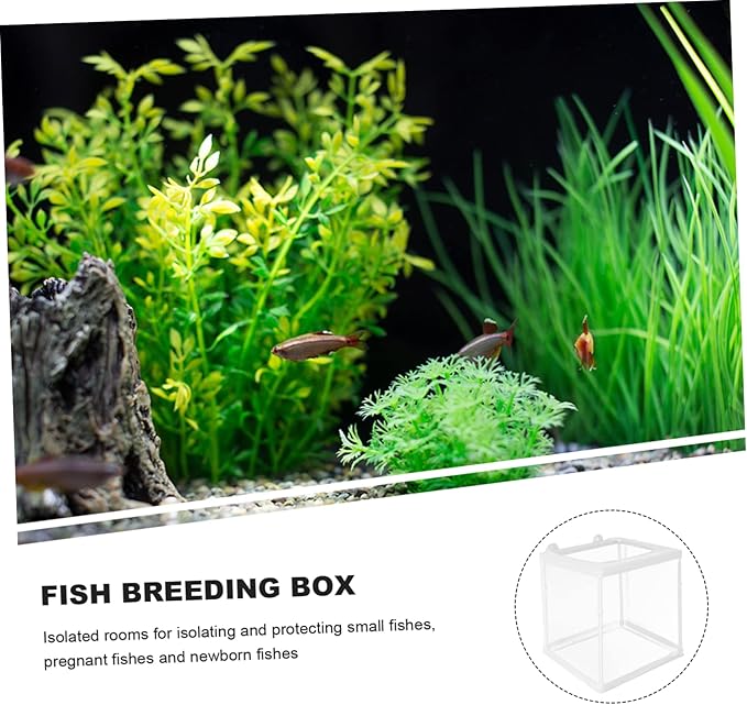 Incubation Box for Betta Guppy Mesh Breathing Fish Breeding Tank Aquarium Box Practical Incubator