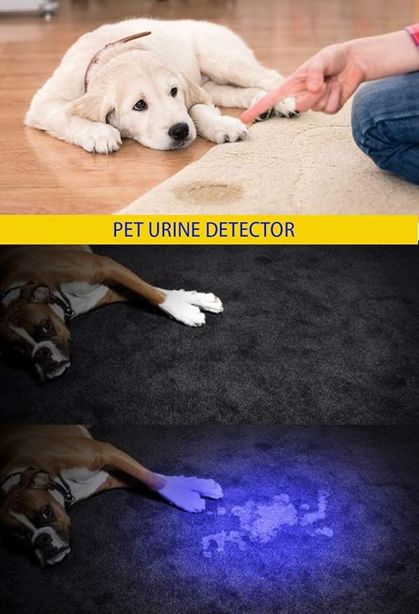 DARKBEAM UV 395nm Flashlight Ultraviolet led Light Blacklight Wood's lamp Portable 400nm Mini Detector for Dog/Cat Urine Pet Stains, Anti-counterfeiting Identification, Resin Curing, AA