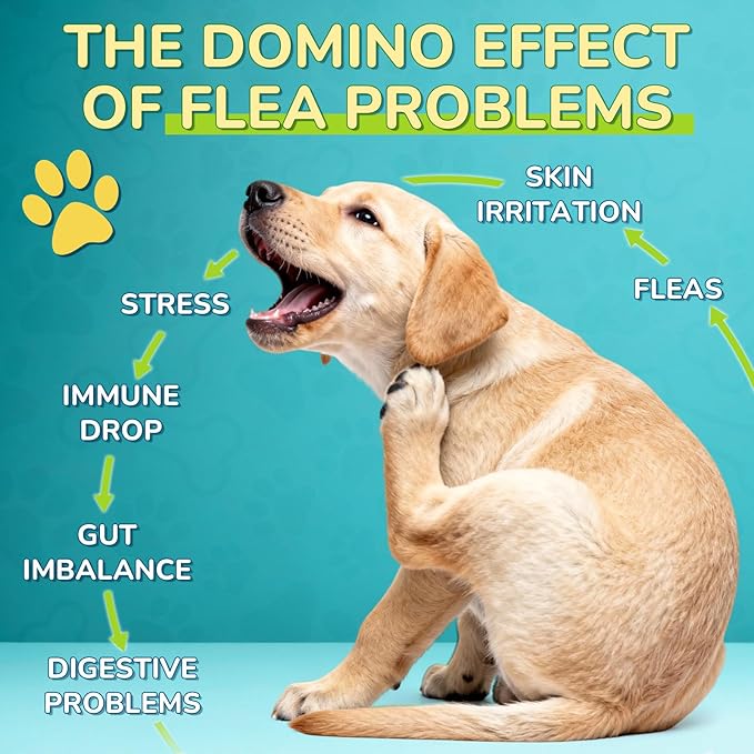 Flea Defense + Probiotic Support Drops, Natural Flea and Tick Prevention for Dogs and Cats, Cat & Dog Flea Treatment & Probiotics Drop, Dual-Function Flea Prevention Drops, Chicken Flavor