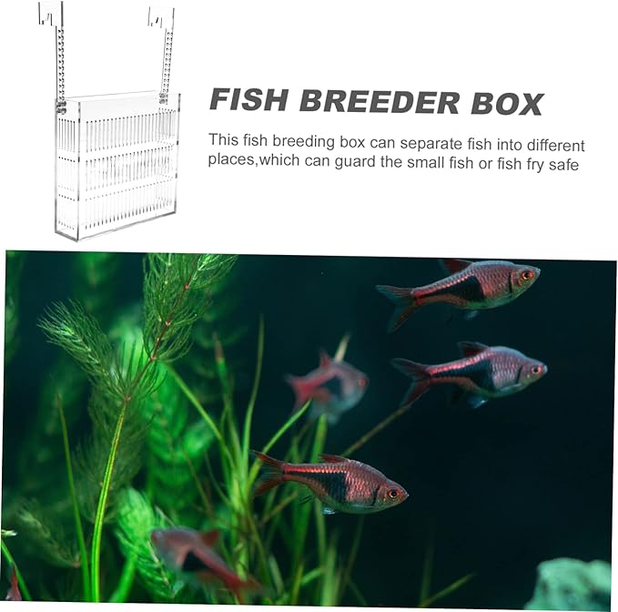 Acrylic Fish Breeding Box for Aquarium Live Pea Fish Tank Divider Incubator Hanging Hook