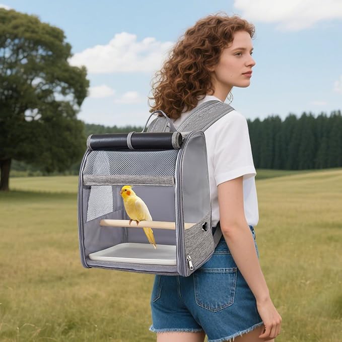 Bird Carrier Backpack,Breathable & Portable,Pet Travel Cage with Upgraded Tray and Standing Perches,Lightweight Foldable Birds Travel Cage for Hiking Camping,for Small Birds, Green Cheek