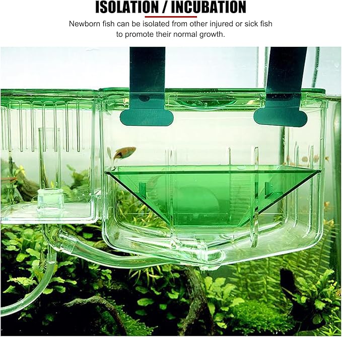 EVTSCAN Double Layer Fish Breeding Box Aquarium Fish Isolation Box Safe Hatchery Incubator Fish Separation Tank for Newborn Fish Injured Fish Shrimp