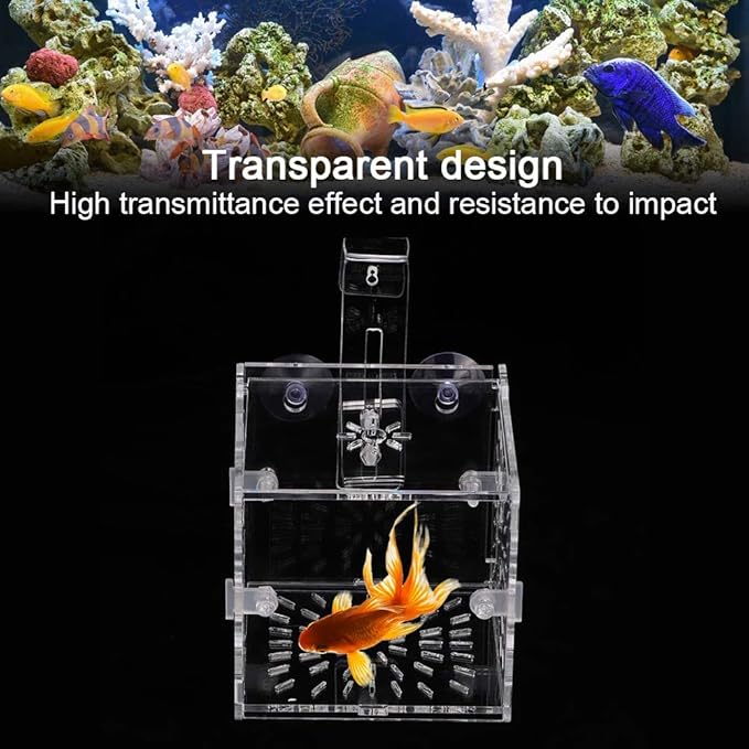 Fish Breeding Incubator, Fish Tank Hook Sucker Design Stable Fish Incubator Box for Breeding for Isolation(10CM*10CM*10CM)