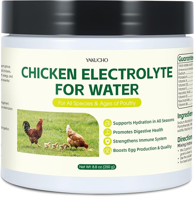 Chicken Electrolytes, Vitamins & Probiotics – Poultry Supplement for Hydration, Immunity & Gut Health – for Chickens, Ducks, Turkeys – 8.8oz Powder – All Ages Formula