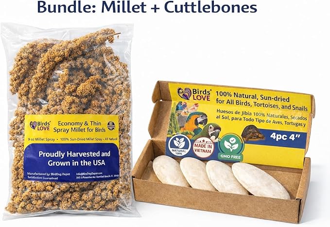 Farm to Feathers™ Bird Economy Millet & Cuttlebone Bundle – USA Grown Millet Sprays for Parakeets, Budgies, Cockatiels, Finches & Canaries – 9oz (Pack of 1) + 4” Cuttlebone (4 Pack)