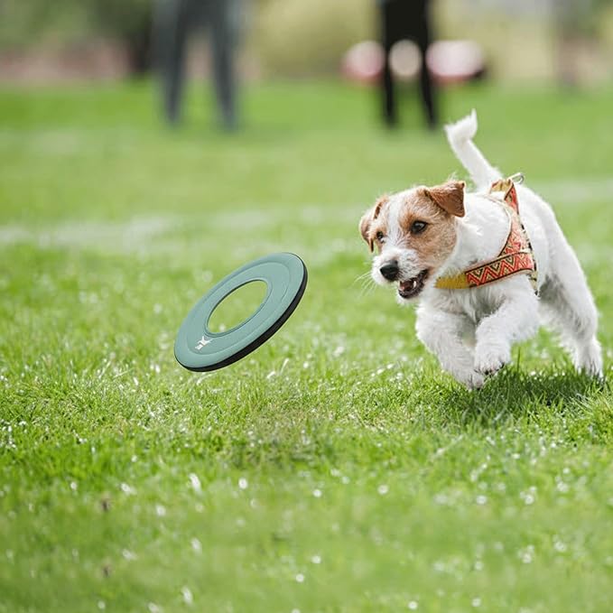 OllyDog Mini Super Flyer Dog Frisbee Toy, 9" – Durable, Lightweight & Water-Resistant Flying Disc – Soft on Teeth & Gums – Floats on Water – Outdoor Fetch Toy for Medium & Large Dogs (Surf)