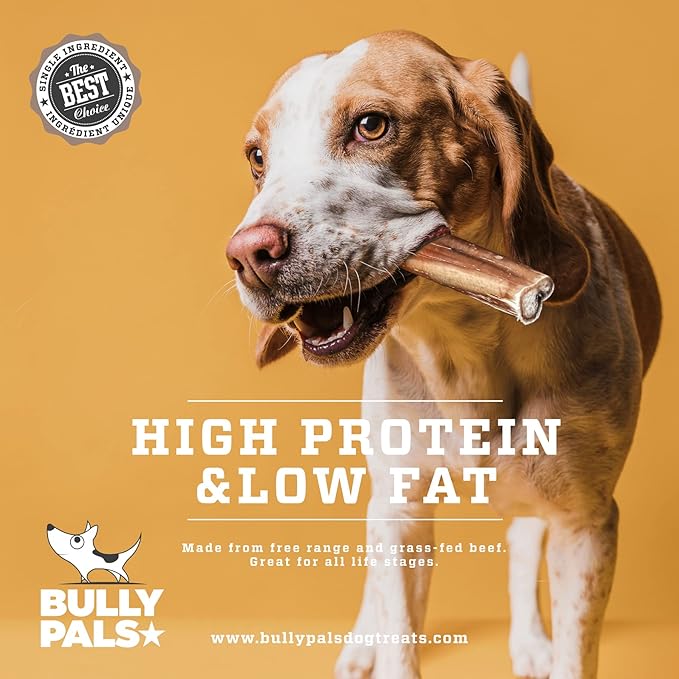6 inch Thin Bully Sticks for Small Dogs and Puppies - 20 Pack - All Natural, Single Ingredient, Easily Digestible, All Beef Dog Treats and Rawhide Free Dental Chew Bones for Dogs