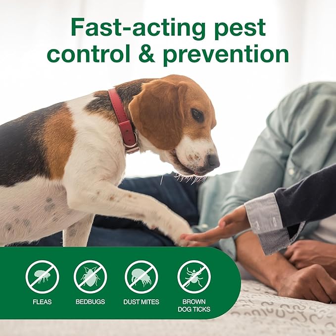 Bundle of Advantage Topical Cat Flea Treatment and Prevention for Large Cats Over 9 lbs. + Advantage Carpet & Upholstery Spot Spray 16 oz.