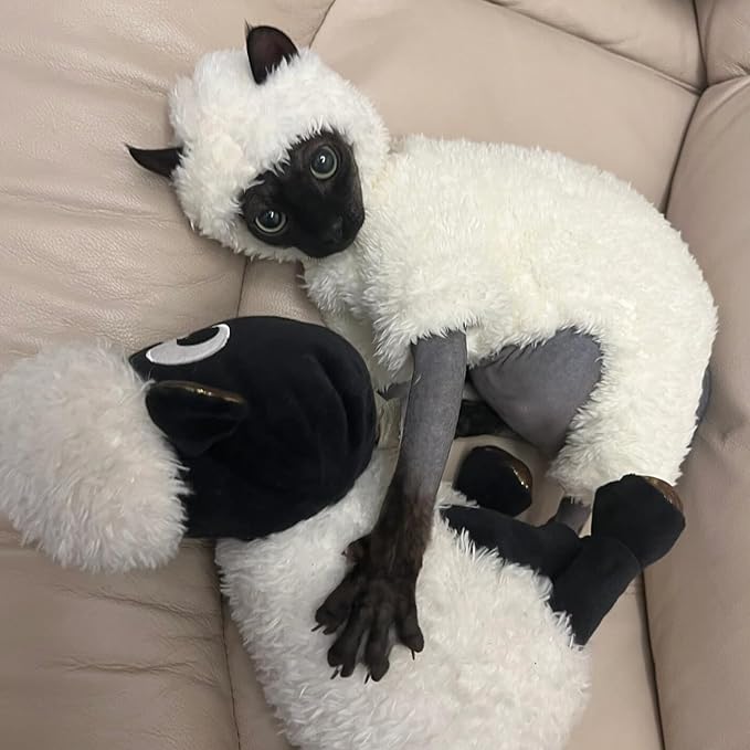 Warm Fleece Lined Winter Clothing for Sphynx & Devon Rex Cats | Soft Faux Lamb Wool | Cozy and Comfortable (Sheep Costume,L 2.5-3.5 kg.)