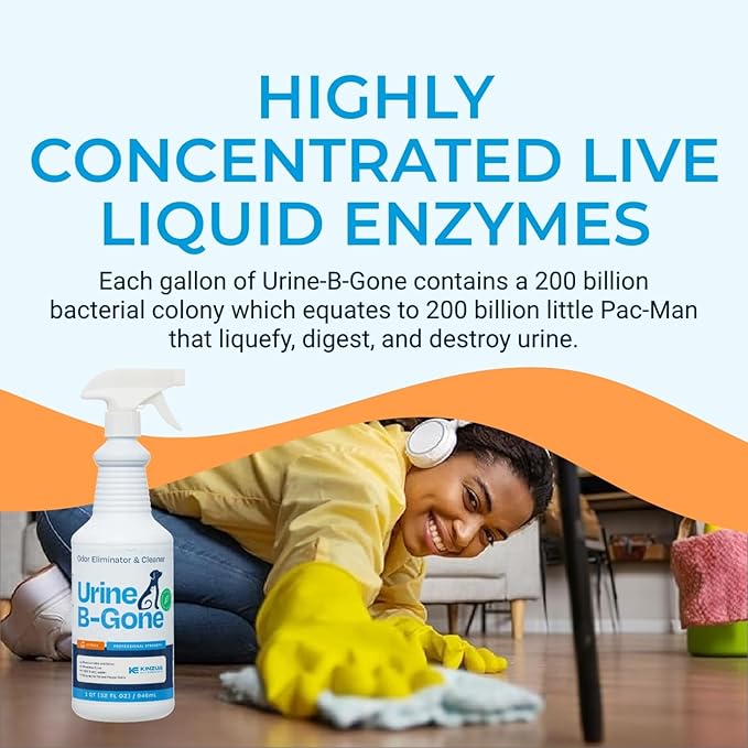 Urine B-Gone, Professional Enzyme Odor Eliminator & Pet Stain Remover, Human, Cat & Dog Urine Cleaner, Effective on Laundry, Carpets & More, Citrus Scent, 32oz