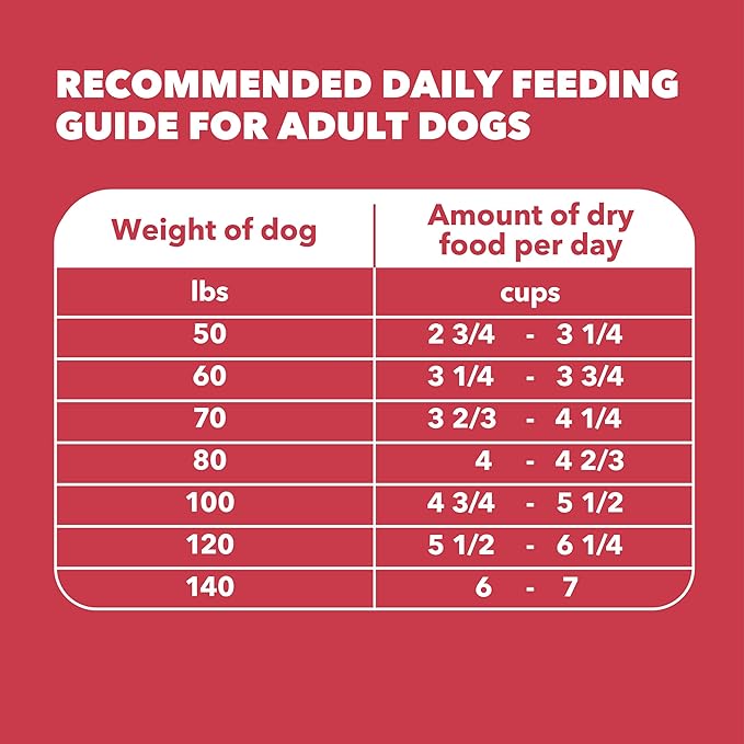 IAMS Proactive Health Large Breed Adult Dry Dog Food Lamb & Rice Recipe, 40 lb. Bag