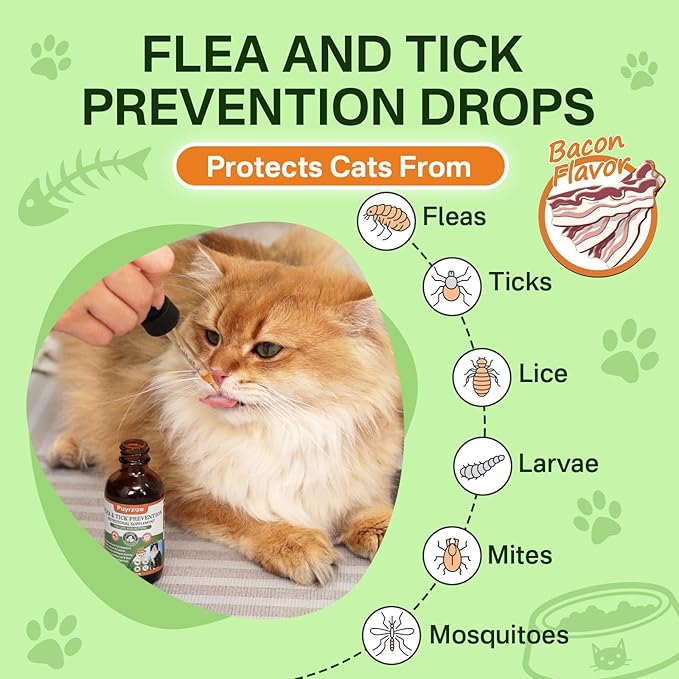 Flea and Tick Prevention for Cats, Natural Oral Cat Flea Treatment Drops with Pumpkin Seed, Echinacea & Omega-3/6/9- Support Immunity, Healthy Skin & Coat, Digestion & Overall Wellness, 60 ML