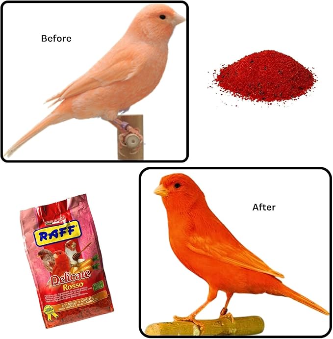 Raff Delicate Rosso 500g – Red Canary Food Enriched with Honey and Carrots – Specialized Red Factor Formula for Seed-Eating Birds Seeking Vibrant Plumage and Optimal Health