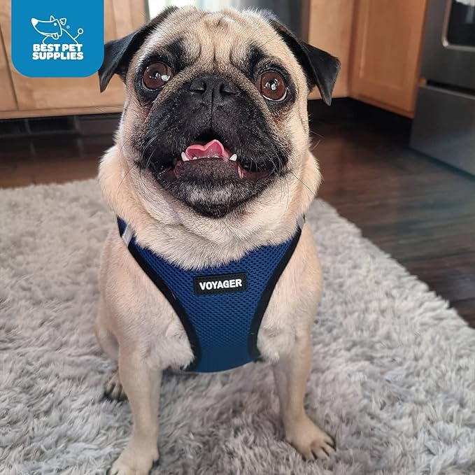 Best Pet Supplies Voyager Step-in Air Harness - All Weather Mesh, Reflective, No Pull Harness for Dogs, Cats - Secure with Hook & Loop Fastener, Buckle, Double D-Rings - Blue/Black Trim, XXS