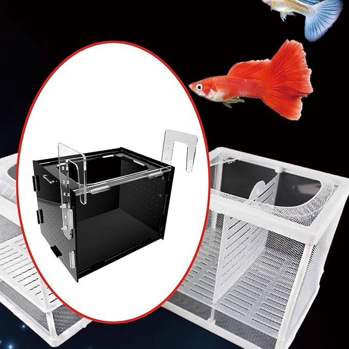 Fish Breeding Box, Fish Isolation Box, Sturdy Separation Easy Installation Clear Hanging Incubator for Clownfish Betta, 30x20x20cm