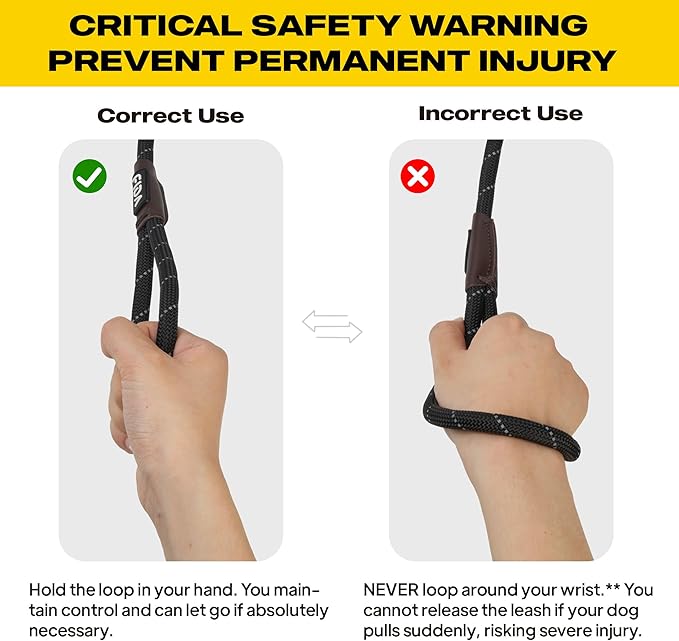 Fida Durable Slip Lead Dog Leash, 6 FT x 3/8" Heavy Duty Comfortable Strong Rope Slip Lead for Small Dogs and Puppies, No Pull Pet Training Lead with Highly Reflective(3/8", Black)