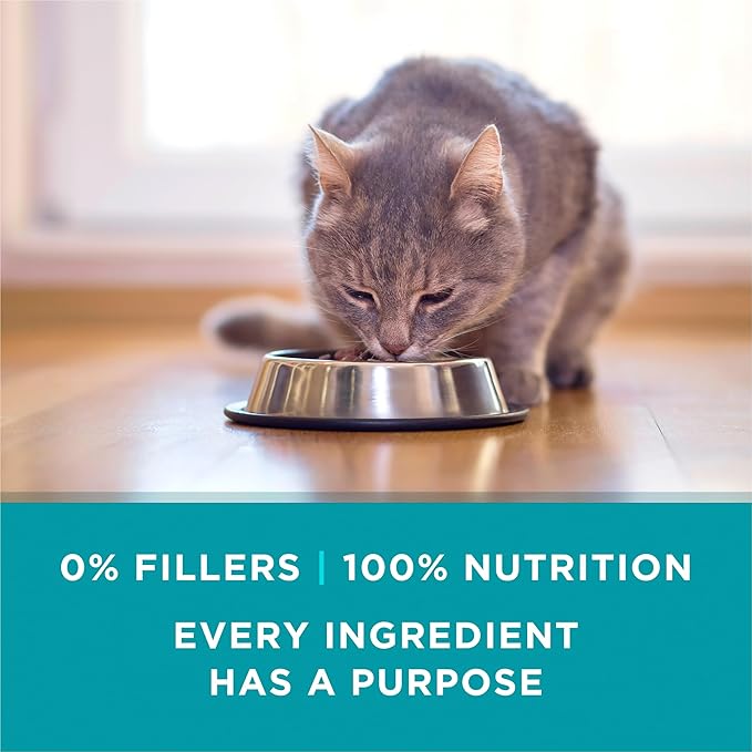 Purina ONE Natural, High Protein Cat Food, Turkey Recipe in Gravy - (Pack of 24) 3 oz. Pull-Top Cans