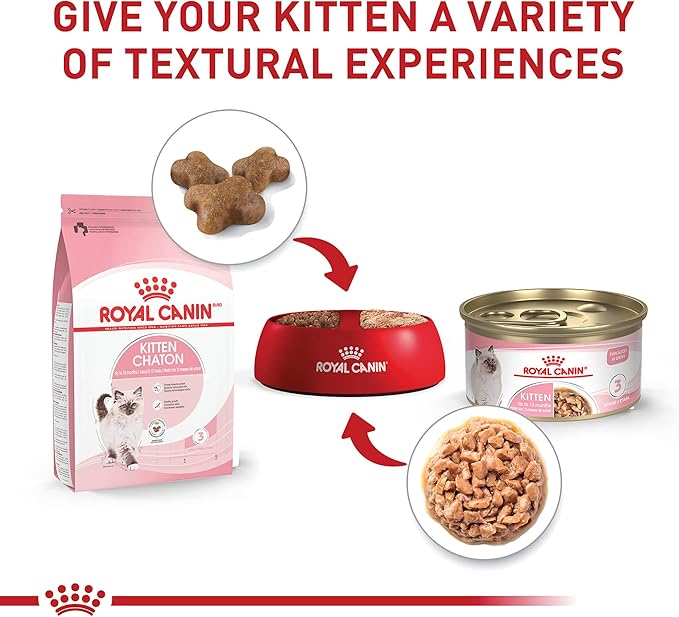 Royal Canin Feline Health Nutrition Kitten Thin Slices in Gravy Cat Food, 3 oz (Pack of 24)
