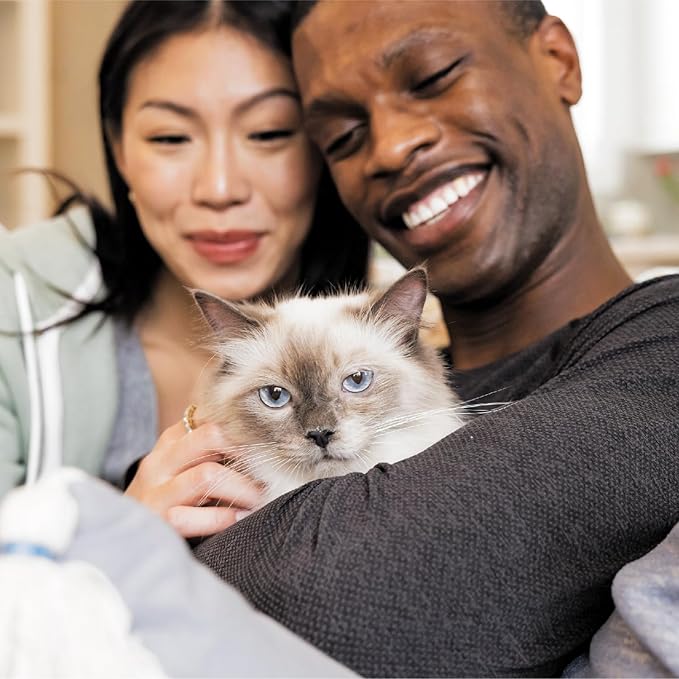 IAMS Proactive Health Senior Dry Cat Food, Cat Food Dry Chicken Recipe, Real Chicken in Every Bite, 3.5 Lb. Bag
