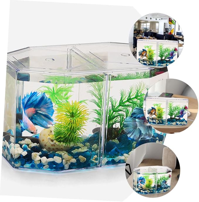 POPETPOP Professional Multi-Function Breeding Tank Transparent Isolation Box for Betta Fish Easy to Clean Install Household Incubation Box Material for Fish Fry