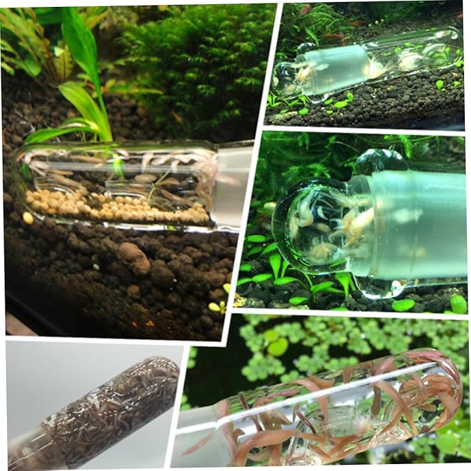 DOITOOL 2hole Aquarium Glass Turbellarian Catcher Glass Worm Trap for Easy Catching Aquarium Accessory for Maintaining Healthy Fish Tank