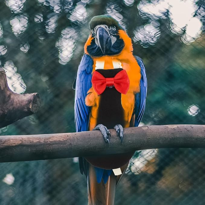 POPETPOP Flying Bird Diapers - Rubber Chew Stick & Cotton Suit for Cockatoo, Parrot & Other Flight Birds