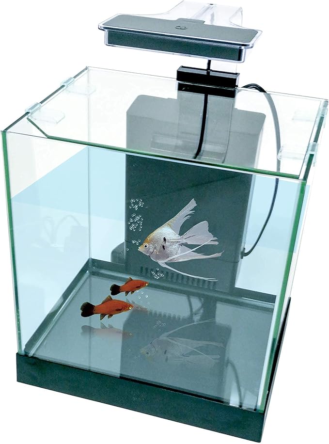PENN-PLAX Cascade All-in-One Desktop Aquarium Kit – Great for Small & Tight Spaces – Marine & Freshwater Applications – 3.2 Gallons