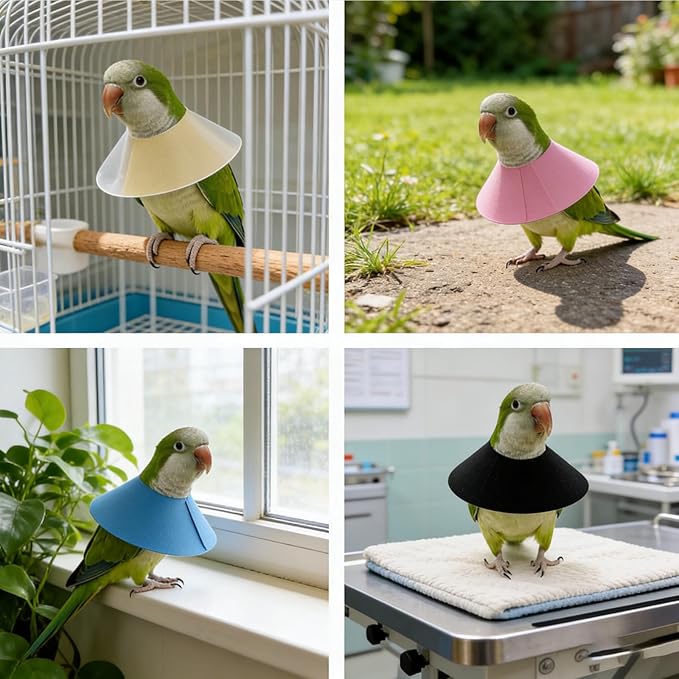 4 Pack Parrot Recovery Collar, Anti-Bite Anti-Plucking Protective E-Collar for Budgies, Lovebirds, Cockatiels & Small Birds, Wound Healing Elizabethan Cone with Adjustable Strap