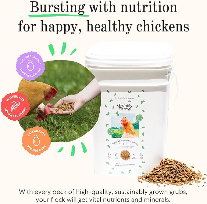 Grubbly Farms Love Tub - Black Soldier Fly Larvae for Chickens - Chicken Treats with 50x More Calcium for Strong Eggshells and Healthy Feathers - Grown in The US and Canada - 5lb Reusable Tub