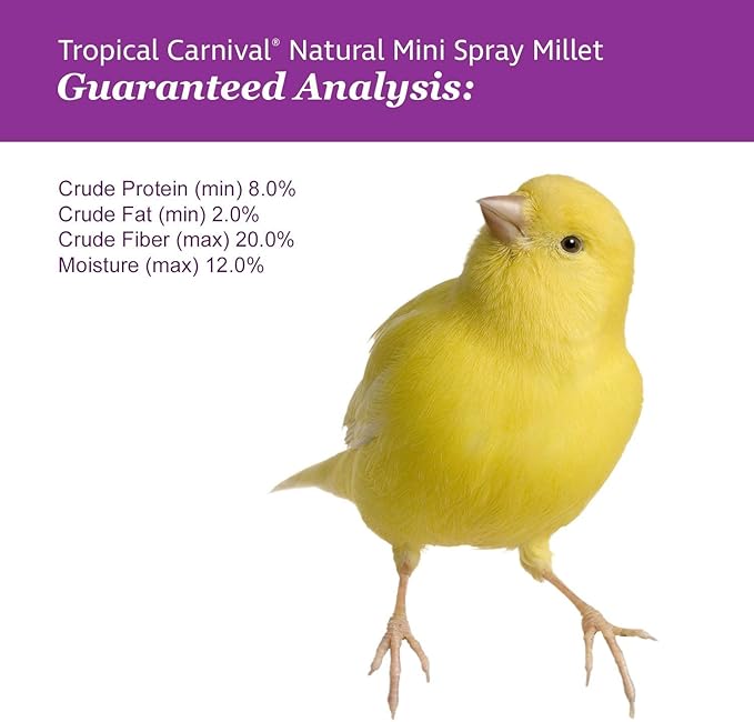 F.M. Brown's Tropical Carnival Natural Mini Spray Millet Foraging Treat for Canaries, Finches, Parakeets, Cockatiels, and Parrots, 4-oz Bag - USA Grown and Harvested