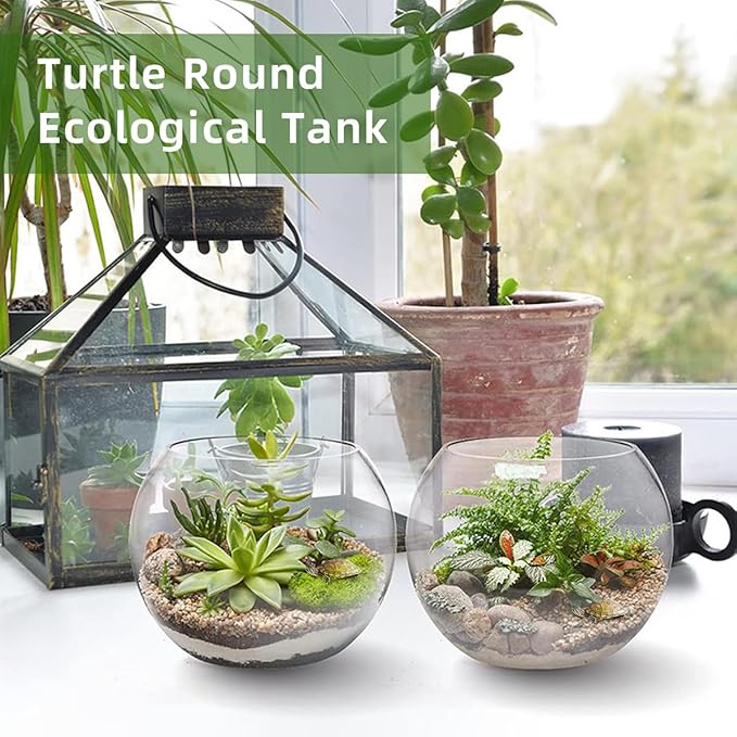MANON ROSA Turtle Bowls Round Ecological Tank Container Clear Aquarium Habitat Small Desktop Home for Hydroponic Plants Fish Starter Choice (XL(11.8" D))