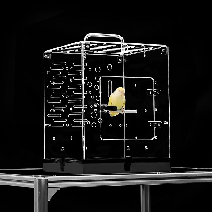 GuineaLoft™ Acrylic Bird Cage Model-ETO, Crystal Clear, 360° Panoramic View, Portable & Easy Clean Design with Canvas Bottom- Visit The GuineaLoft Store