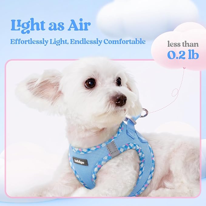 rabbitgoo Dog Harness Small Medium Sized and Leash Set, Step in Soft Light Puppy Vest, Breathable Mesh Pet Harness, Reflective for Safe Easy Walking, Blue & Plaid Trim L