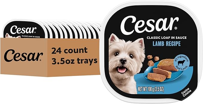 Cesar Classic Loaf in Sauce Adult Wet Dog Food Lamb Recipe, 3.5 oz. Easy Peel Trays, 24 Count (Pack of 1)