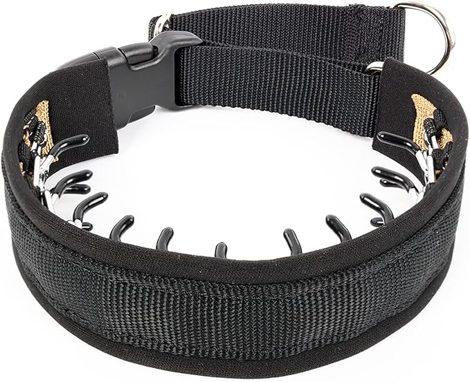 Mayerzon Dog Collar, Patented Martingale No Pull Collar for Small Medium Large Dogs with Buckle for Walking Training, Hidden Design (Black, Medium,2.5mm,14.5"-18.5" Neck)