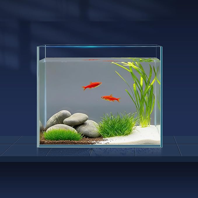 1 Gallon Fish Tank Starter Kit with Fish Net, 1 Water Changer Siphons & 2 Cleaning Cloth, Crystal Clear Glass Fish Tank, Small Fish Tank/Aquarium for Betta & Goldfish, Nice Home Décor