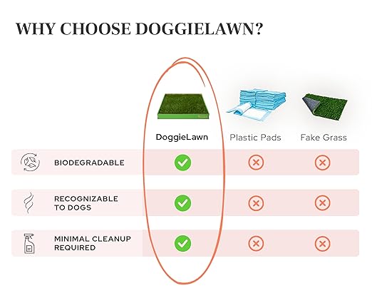 DoggieLawn Real Grass Puppy Pee Pads- 24 x 24 Inches - Perfect Indoor Litter Box for Dogs - No Mess, Easy-to-Use - Potty Training for Pets - Eco-Friendly Disposable Bathroom with Real Living Grass