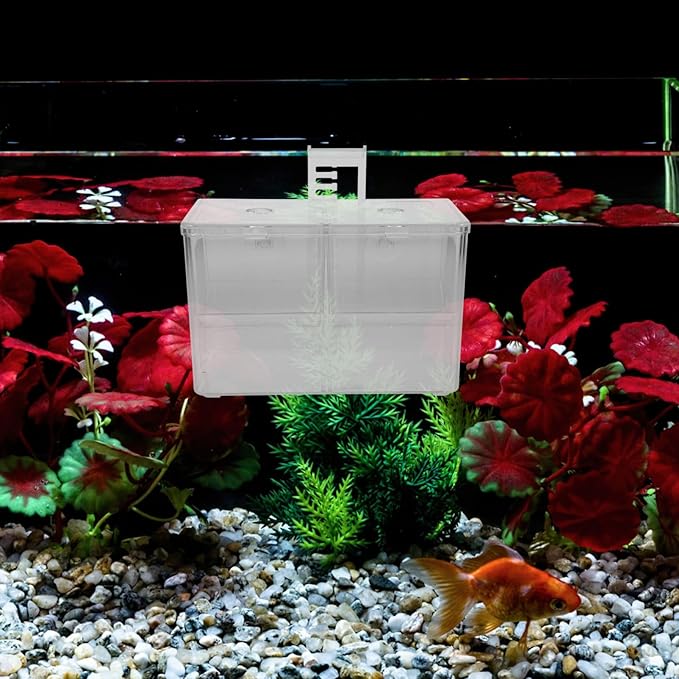 Fish Breeding Box Incubator for Shrimp and Tropical Fish Divider Hatchery Enhanced Survival Rates for Newborns Easy Observation and Installation