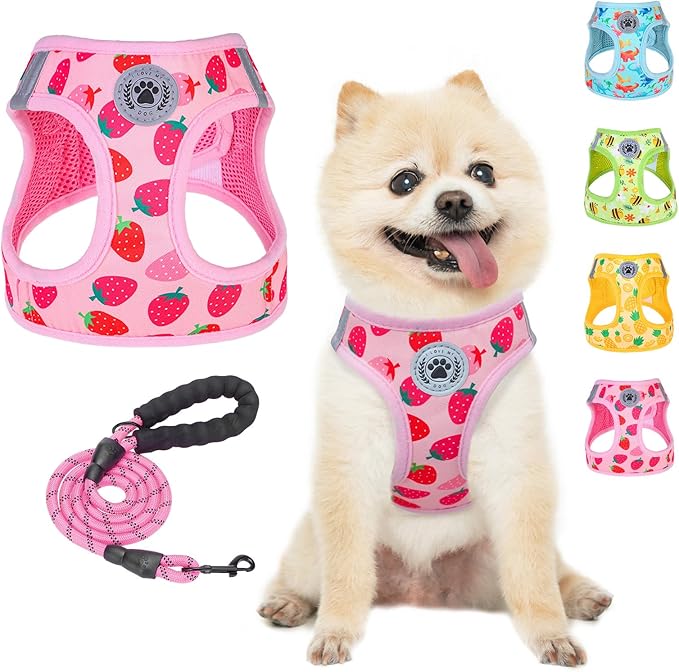 BEAUTYZOO Step in Dog Harness and Leash Set,Reflective Dog Harness No Pull No Choke Puppy Harness for Small Medium Large Dogs Cats,Soft Padded Mesh Vest Harnesses for Girl and Boy Pets, Strawberry XS