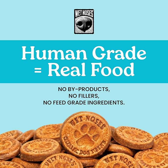 Wet Noses Organic Crunchy Dog Treats – All-Natural, Human-Grade, Non-GMO, Healthy Training & Delicious Snacks for Dogs, for All Dog Sizes & Breeds – Grain Free Peanut Butter & Molasses, 14oz (2 Pack)
