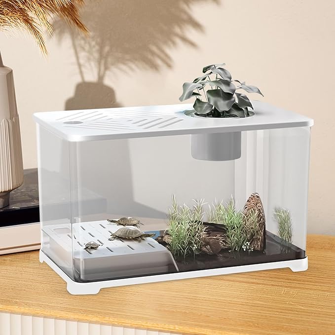 Aquarium Tank - Spacious Glass Fish Tank Setup for Betta Shrimp, Modern Desktop Habitat with Turtle Perch and LED Lighting, Ideal for Home Decor and Plant Cultivation