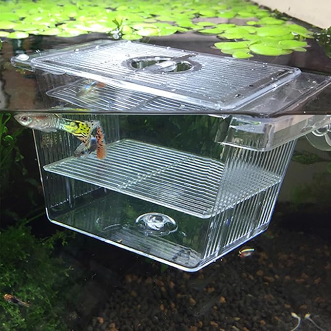 Fish Breeding Box, Transparent Insulation Breeder Box for Fish Tank, 5x3x3 Detachable Plastic Small Tank for Babies, Shrimp, Clown and Guppy