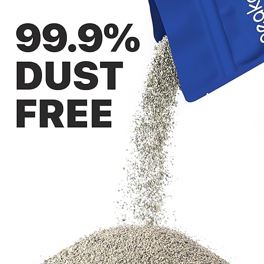 Neakasa PooGuard Litter Disposal Bin, 9.2L Trash Can with 17.6 lbs Mineral Cat Litter Bundle