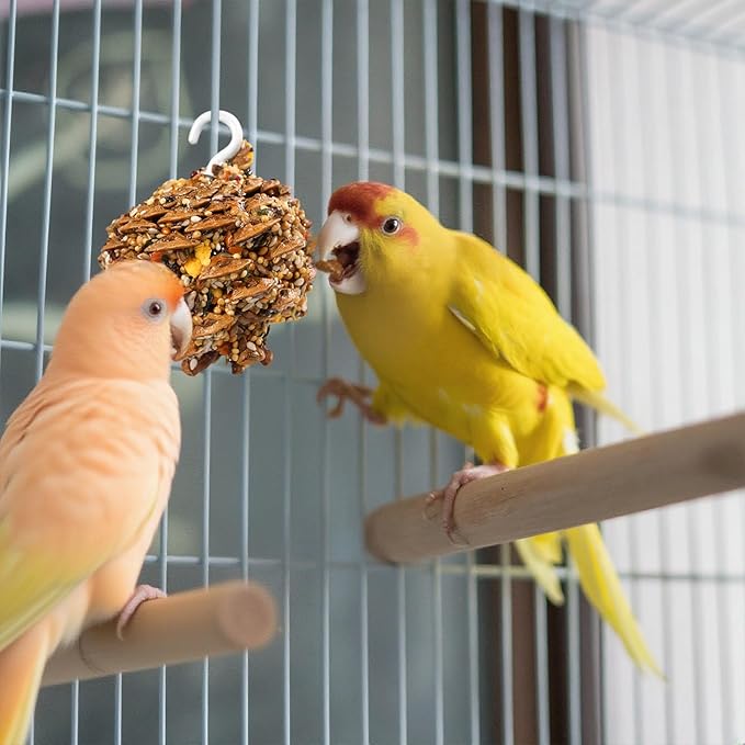Abizoo Natural Pinecone Chew Toys with Edible Sunflower & Veggies - Malt Sugar Coated Foraging Enrichment for Parrots Cockatiels Conures Budgies Immune & Digestive Support Safe Bird Toy 2pcs
