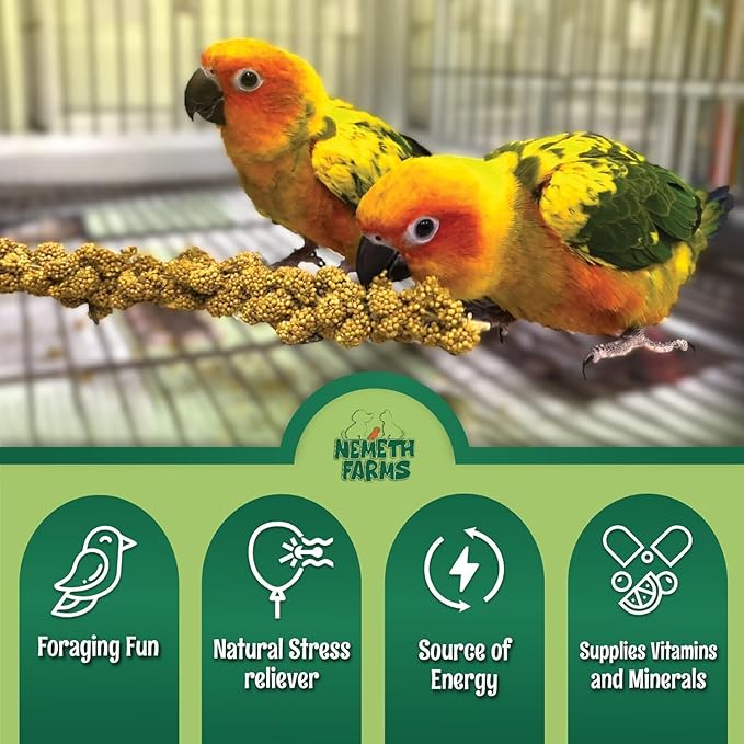Nemeth Farms 5lbs Premium Spray Millet for Exotic Birds – Grown in The USA – 100% Natural & Non‑GMO Bird Treat – Sun‑Dried Millet for Parakeets, Conures, Cockatiels, Parrots & Budgies